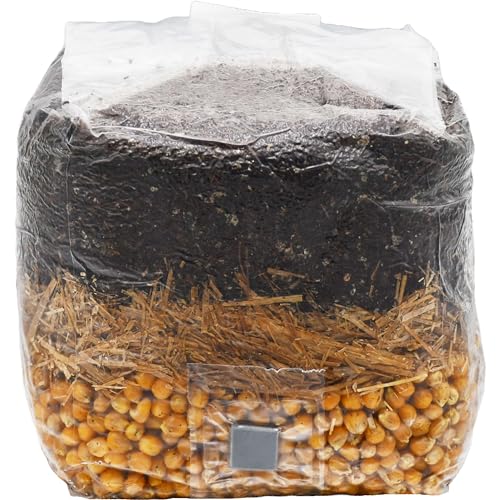 Golden Grain All-in-One Mushroom Grow Bag