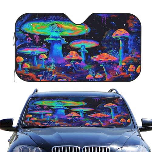 Ventouses pare-soleil et housse de protection thermique contre les UV en voiture