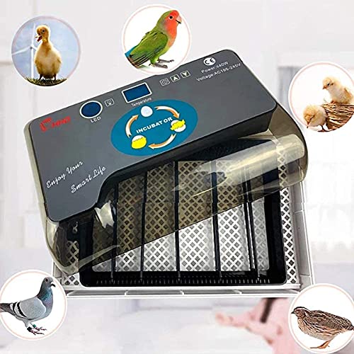 Digitale Automatische Incubators, Hatching Egg Incubator 12 Eits Incubator Machine met LED Display Poultry Hatcher voor… - Afbeelding 7
