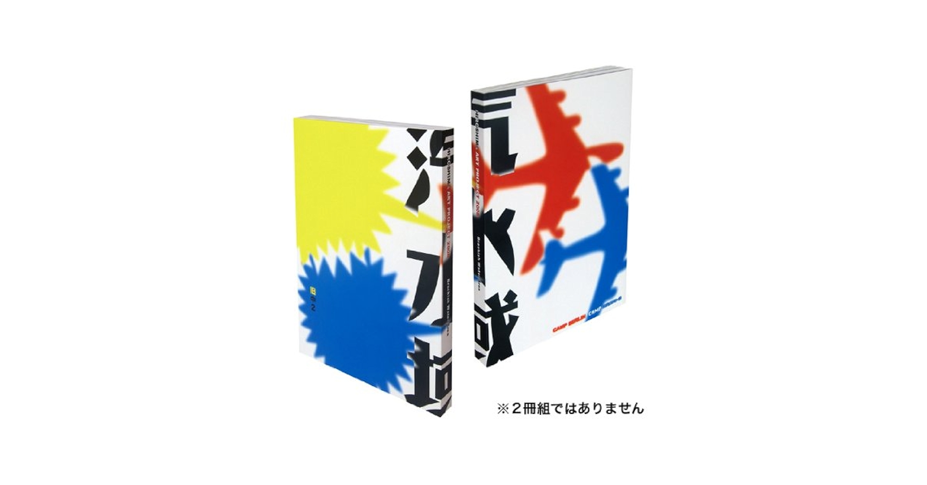 Amazon.co.jp: 広島アートプロジェクト2008 汽水域 : 柳 幸典