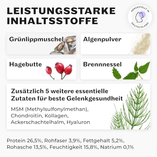 Premium Gelenkpulver für Hunde Mighty Mobility | Grünlippmuschel Hund | Gelenk- & Knochenschutz für Hunde 200 g | Unterstützt bei akuten Gelenkschmerzen & Präventiv | Alternative zu Gelenktabletten