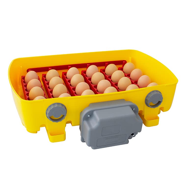 Incubadora digital ET24 SUPER con motor de giro OVOMATIC y con aditivo antibacteriano Biomaster™ - River Systems - Capacidad 24 huevos de tamaño mediano o 96 pequeños