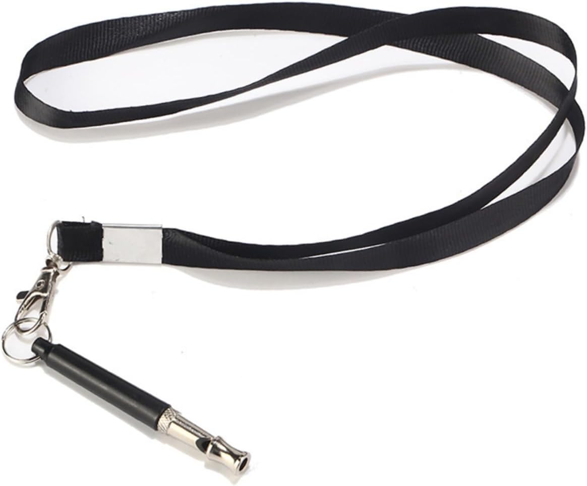 Toyvian 2 Sets Dog Training Whistle Silent Whistle with Lanyard for Outdoor Training Safe for Dogs and Birds Compact and Portable