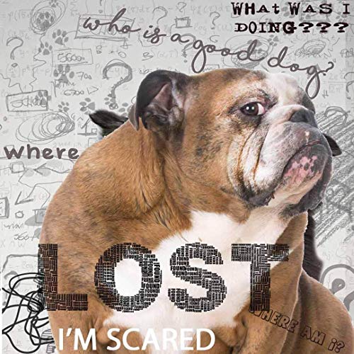 Image of The Blissful Dog Bulldog Age Well Dog Aromatherapy