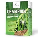 LERAVA CHAMPION Gazon à Semer (30 m²) - Graines Pelouse Résistantes à la Sécheresse - Croissance Rapide et Densité Maximale - Semences de Gazon Premium pour Jardin Durable