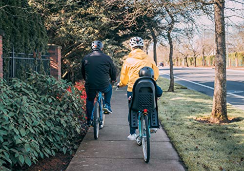 Burley Dash® Fm Child Bike Seat, Black/Grey, Fm - Frame Mount #TOP7