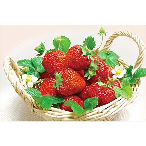Arts Artisanat de Point de Croix Diamant Fraise Idée Cadeau Anniversaire