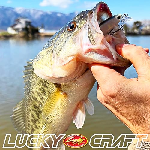 ラッキークラフト ビーフリーズ 65SP サスペンディング フィッシングルアー ミノー バス用 (1093 CFシラウオ) 6枚目