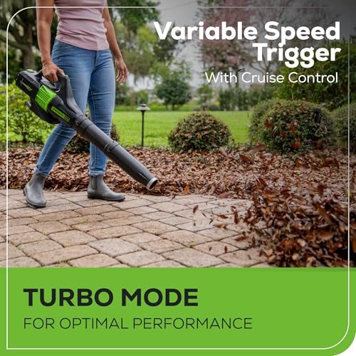 Image of Greenworks 60V (450 CFM / 140 MPH) Cordless Leaf Blower, Variable Speed & Turbo, Lightweight Handheld for Fall Leaf Removal, Yard, Patio, Driveway Outdoor Cleaning, 2.0Ah Battery and Rapid Charger