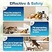 piutezo Cat Deterrent Spray Refill, Pet Spray Deterrent System, Motion Activated Cat System, Cat & Dog Odorless & Indoor, Up to 3 Feet Away, Pet Deterrent Spray Refill 1 Pack 3.89Oz