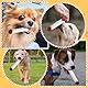 3Pcs Giggle Zigaretten-Hundespielzeug, quietschendes Hundespielzeug, Lustiges Interaktives Plüsch mit Einer Box, Interaktives Spielzeug für kleine, mittelgroße und große Hunde