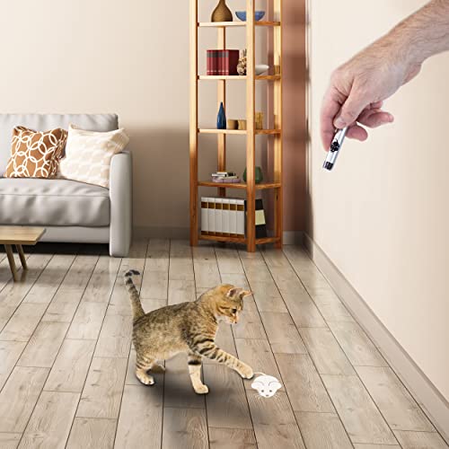 Penn-Plax LED Pointer Cat Toy with Mouse Pattern – Safer than Traditional Red Dot Pointers Penn-Plax LED Pointer Cat Toy with Mouse Pattern – Safer than Traditional Red Dot Pointers