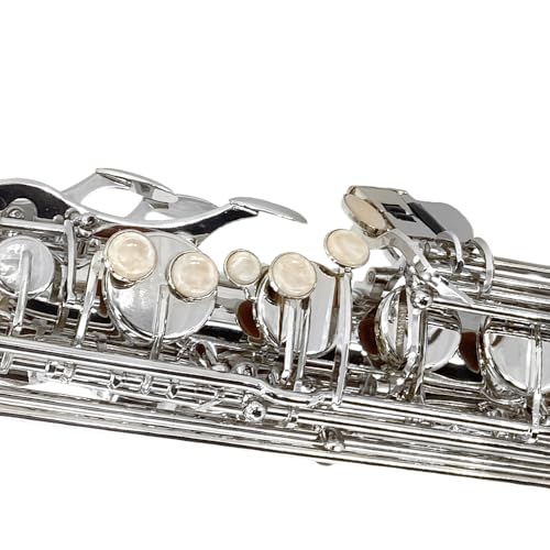 Image of Yinfente Bb Tenor Saxophone Professional Beginner Kit-B Flat Tenor Sax Complete Student Set with Hard Case,Reeds,Cleaning Cloth,Neck Straps,Mouthpiece Silver