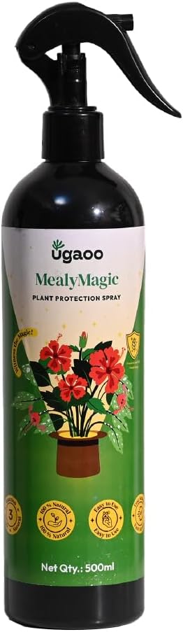 - MealyMagic Mealy Bug & Fungus Killer Spray For Plants - 100% Herbal Actives & No Chemicals - 500 ML