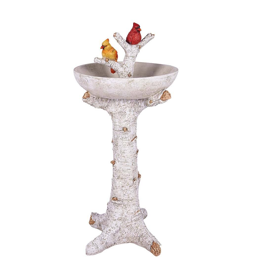 10 Best Cardinal Bird Baths for Your Garden Hummingbirds Plus