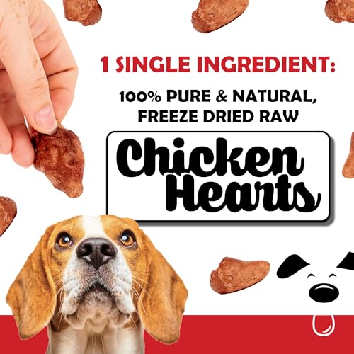 Winni Treats Freeze Dried Chicken Hearts for Dogs â Single Ingredient, High Protein, No Additives, Natural & Grain-Free Raw Dog Treats Natural â Ideal for Treats, Training & Rewarding â 3.75oz Bag - Image 3