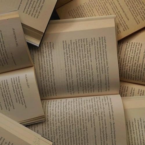 #9 je commente mon bilan lecture 2024 storygraph