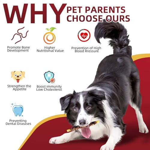 لعبة التسنين بنكهة اللحم البقري من بارافي، لعبة عظام الكلاب التفاعلية، تساعد على تنظيف اسنان كلبك، لعبة مضغ للكلاب، مناسبة للكلاب المتوسطة والكبيرة، تحب الكلاب نكهة اللحم البقري