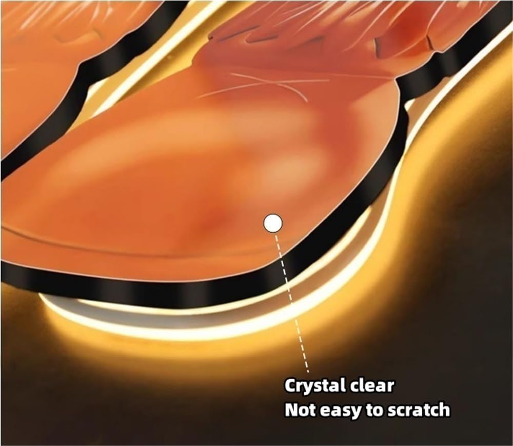 Stone Brings Luck 3D Entrance Decoration Painting, LED Light Wall Decoration, 3D Creative Wall Hanging, Corridor Art Decoration(E,22.8 * 39.4in)