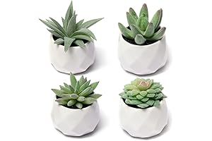 CADNLY Small Faux Succulents for Desk Decor