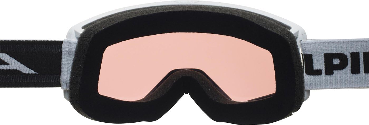 ALPINA Narkoja Q Masque de ski Mixte (lot de 1)
