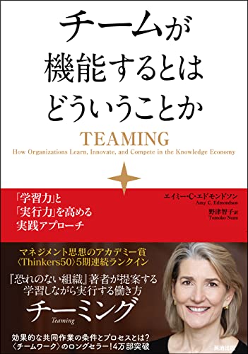 チームが機能するとはどういうことか ― 「学習力」と「実行力」を高める実践アプローチ
