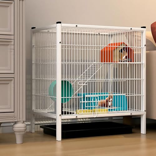 Cage pour écureuil volant anti-évasion : sécurisez votre rongeur grâce au maillage serré