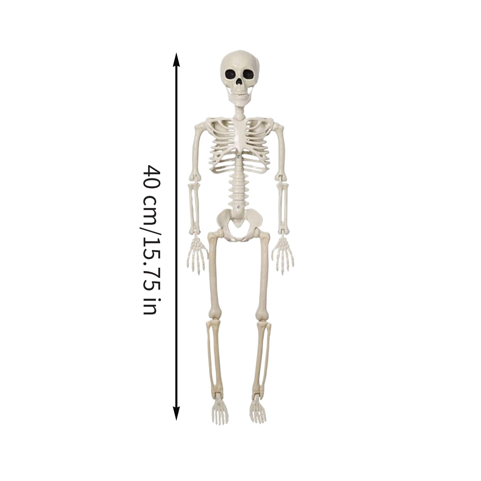 Dekoracja szkieletu – naturalnej wielkości Halloween szkielet dekoracja z ruchomymi przegubami – straszna czaszka ozdoba na grób do domu duchów, ogrodu, dekoracja stołu, na imprezę