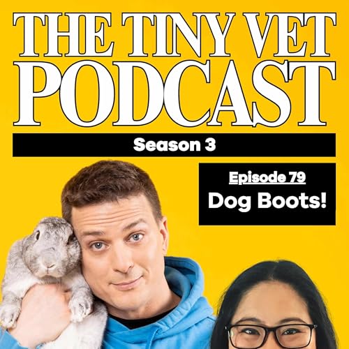 79: Dog Boots!