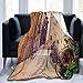 RUBEITA Couverture en Micro-Polaire Ultra-Douce,Vélo Alley Flower View,Couverture Chaude décorative pour canapé-lit,60"X 50"