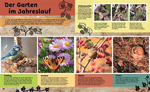 Auf ins Beet!: 30 wilde Gartenideen für Radieschenräuber und Bienenretter. Ein Bio-Gartenbuch für Kinder mit einem Vorwort von Ackerhelden machen Schule - 6