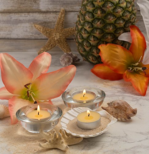 Dii Z02077 Home Traditions Highly Scented Tealight Candle thumb #6