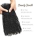 Afro Kinky Bulk Human Hair : 20 Inch, Double Drawn, 100g/Strand, Natural Black; Kinky Curly for Braiding Hair for Locs, Twists, Loc Repair, Dreadlock Extensions (Natural Black, 20 Inch 100g)