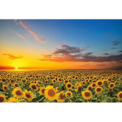 Fondo Fotográfico de Girasoles 5x3ft Vinilo