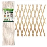 PANDAHOME Valla Verde Artificial – Cercado Extensible con Hojas y Flores Decorativas – Protección de Privacidad para Jardín, Balcón y Patio