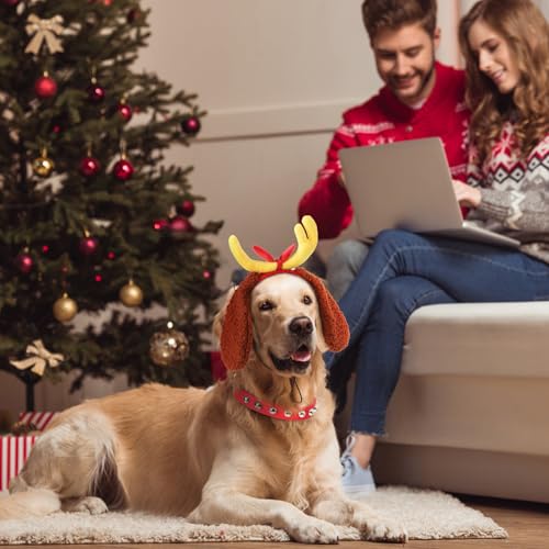 Disfraz Navidad con cuernos de reno y collar para perros M miniatura 6