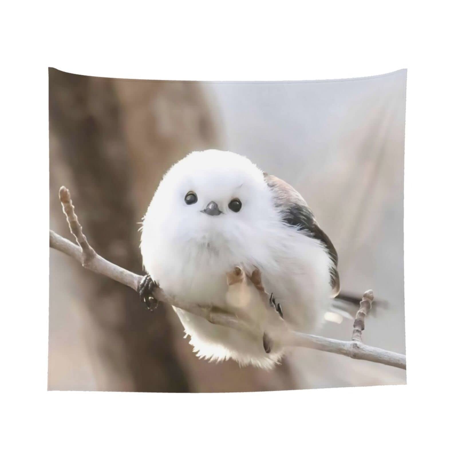 トールペイント　シマエナガ　鳥　壁掛　置型　額縁 Amazon.co.jp: 壁掛け シマエナガ かわいい 鳥 雪 1 タペストリー 人気