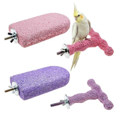 Image of 4 Bird Beak Grinding Stone Parrot Perch Stand for Small Birds