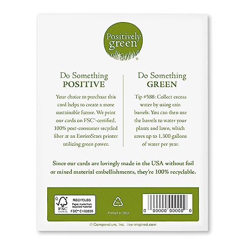 Compendium 10544 Positively Green 4-Pack Of Friendship Cards thumb #6