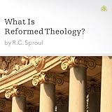 Bargain Audio Book - What Is Reformed Theology 