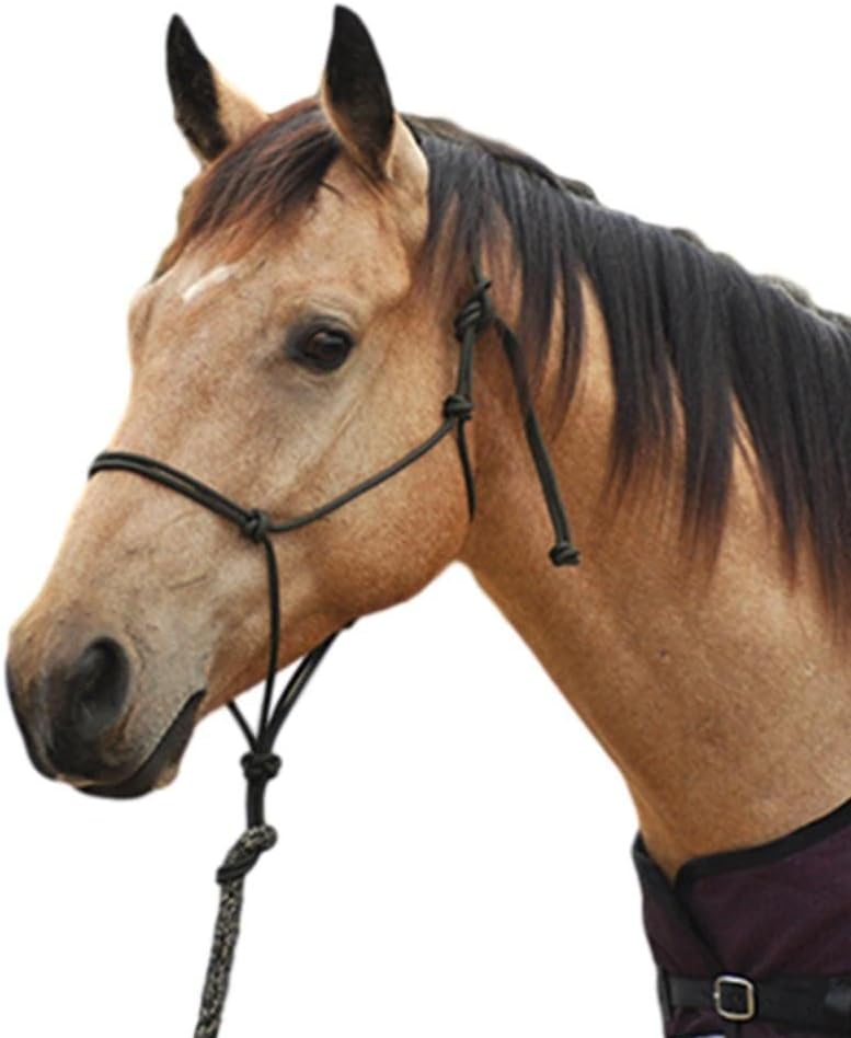 CLASSIC EQUINE Premium Rope Halter