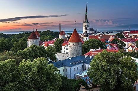 Amazon アート印刷 絵画風 壁紙ポスター はがせるシール式 エストニア タリン 都市 住宅 木 夕暮れ 夏 写真 特大 絵画 壁飾り キャンバス ステッカー 1cmx80cm ウォールステッカー オンライン通販