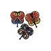 Butterfly Folding Fans (1 dz)