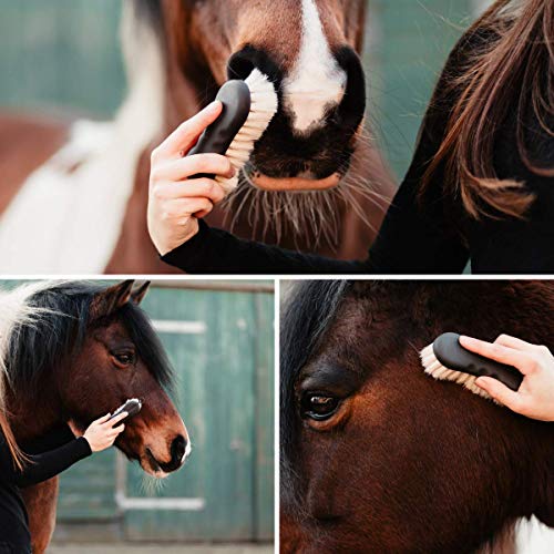 Animalon Ziegenhaar-Bürste | weiche Glanzbürste für Pferde | Schmuse-Bürste fürs Pferd | Staubbürste | Kopfbürste fürs Pferd | Pferde-Zubehör für Jede Putzbox | Pferdebürste | Kopfbürste | Putzzeug