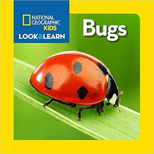 National Geographic Kids Look and Learn: Bugs (Look & Learn) book cover