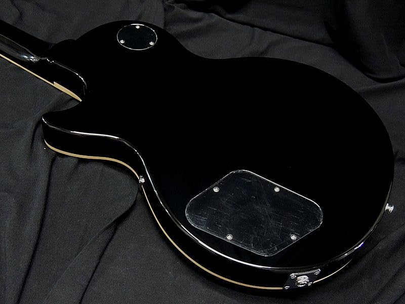 Amazon | FGN FUJIGEN NLS100RMPTB BK Thin Body Neo Classic SERIES