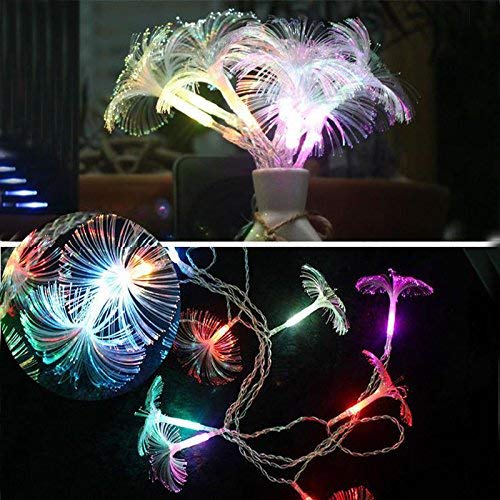 Luz de noche, luces de jardín, luces de Navidad, 2,5 m, 10 LED, fibra óptica, colorida, lámpara de gloria matutina, iluminación navideña
