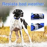 Leuchthalsband Hund, Hundehalsband Leuchtend Aufladbar, LED Halsband für Hunde Leuchtband Einstellbar Wasserdicht mit 3 Lichtmodi Sicherheit für Kleine Mittlere Große Hunde, Blau S