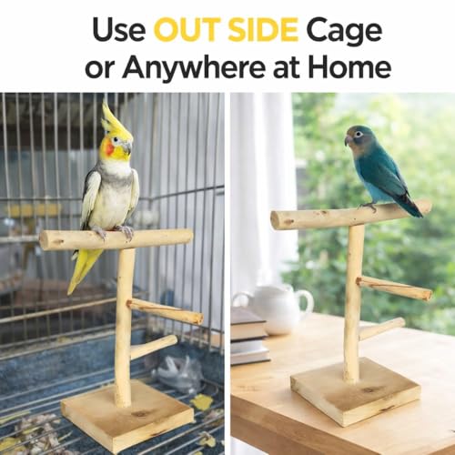 Image of Bird Stand for Parrot, Cockatiel & Lovebirds | Wooden Bird Play Gym with Ladder & Perch | Bird Activity Stand for Cage & Outside | Natural Chew & Exercise Stand for Small Birds