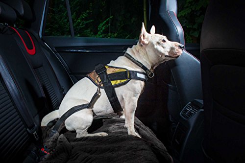 JULIUS K-9 16SGA-P-2 Color & Gray Sicherheitsgurt Adapter für Hunde, Größe: 2, schwarz-grau